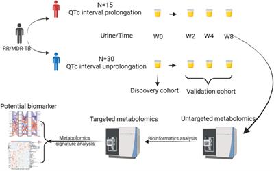 Identification of urine biomarkers predictive of prolonged QTc interval in multidrug-resistant tuberculosis patients treated with bedaquiline